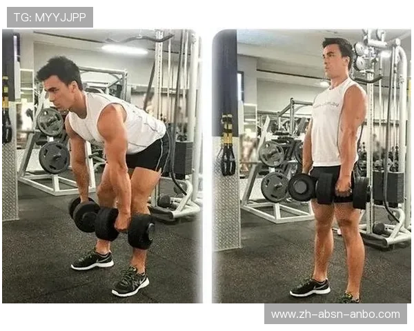 居家增肌推荐健身器材及训练方式科学搭配